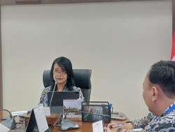 Wamen PU Ungkap Permintaan Prabowo Bentuk Museum Demokrasi di IKN