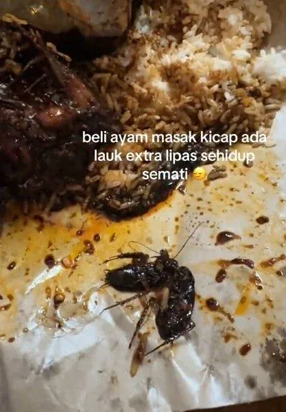 Apes! Beli Nasi Rames Wanita Ini Dapat Bonus Lauk Kecoak