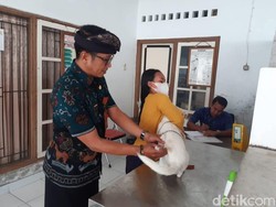 Tekan Kasus Rabies, Distan Buleleng Gencarkan Vaksinasi-Perkuat Peran Tisira