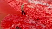 Viral Laut Iran Jadi Merah Darah, Tanda Akhir Zaman? Ini Faktanya