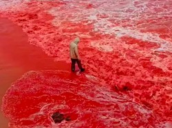 Viral Laut Merah Darah di Iran, Tanda Akhir Zaman?