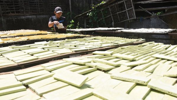 Melihat Pembuatan Brem Khas Madiun