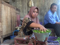Harga Sembako Naik! Cabai Rawit di Lumajang Tembus Rp 100.000/Kg
