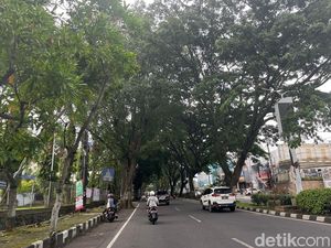 Ratusan Pohon di Suhat Malang Terancam Ditebang untuk Proyek Drainase