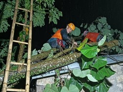 Puluhan Rumah di Ciamis Rusak Akibat Hujan Angin Kencang