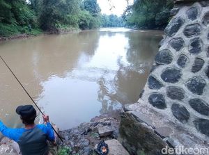 Mengenal Nama-nama Ikan Endemik Sungai di Priangan Timur Mengenal Nama-nama Ikan Endemik Sungai di Priangan Timur
