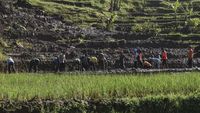 Jalur Alternatif Mudik Lebaran di Ciamis Tertimbun Tanah Longsor