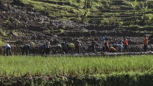 Jalur Alternatif Mudik Lebaran di Ciamis Tertimbun Tanah Longsor