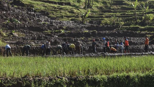 Jalur Alternatif Mudik Lebaran di Ciamis Tertimbun Tanah Longsor