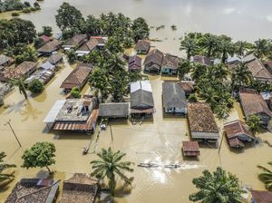 22 Kelurahan di Jambi Terendam Banjir hingga 11 Ribu KK Terdampak 22 Kelurahan di Jambi Terendam Banjir hingga 11 Ribu KK Terdampak