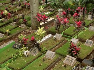 Rumputisasi di TPU Nagrog Bandung Rumputisasi di TPU Nagrog Bandung