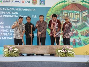Kemenkop Dorong Pengembangan Kelembagaan Gapoktan Jadi Koperasi Modern Kemenkop Dorong Pengembangan Kelembagaan Gapoktan Jadi Koperasi Modern