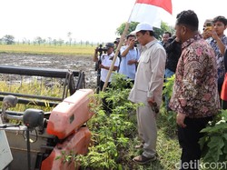 Mentan Targetkan Produksi Padi Jatim 12 Juta Ton