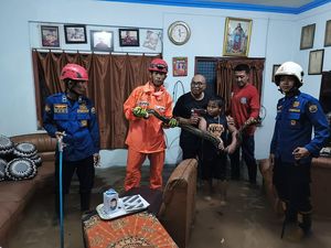 Ular Piton Masuk Rumah Warga Trenggalek Saat Banjir Ular Piton Masuk Rumah Warga Trenggalek Saat Banjir