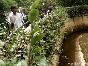 Taman Safari Indonesia Resmi Kelola Bandung Zoo