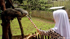 Bahagianya Anak-anak Saat Ngabuburit di Bandung Zoo