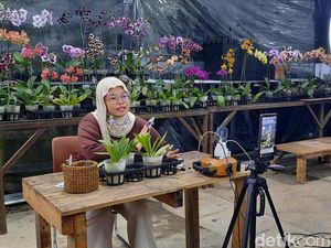 Peran Jualan Live hingga QRIS Tingkatkan Kredibilitas Pengusaha Anggrek Peran Jualan Live hingga QRIS Tingkatkan Kredibilitas Pengusaha Anggrek