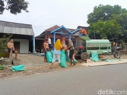 Petani Madiun Keluhkan Harga Jagung Hanya Rp 3.300 per Kg