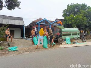 Petani Madiun Keluhkan Harga Jagung Hanya Rp 3.300 per Kg Petani Madiun Keluhkan Harga Jagung Hanya Rp 3.300 per Kg