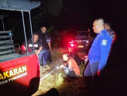 Pikap Pekerja Proyek Kesasar di Lereng Gunung gegara Google Maps Viral