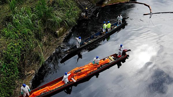 Pipa Minyak Bocor Bikin Sungai di Ekuador Menghitam, Begini Kondisinya