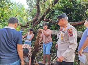 2 Warga Tewas Tertimpa Pohon Durian di Labura saat Hujan Deras 2 Warga Tewas Tertimpa Pohon Durian di Labura saat Hujan Deras
