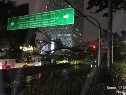 Sempat Terjebak, Dua Pemobil Tertimpa Pohon Tumbang di Jakpus Selamat