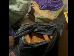 Polda Metro Bongkar Peredaran 34 Kg Ganja Jaringan Jakarta-Sumut