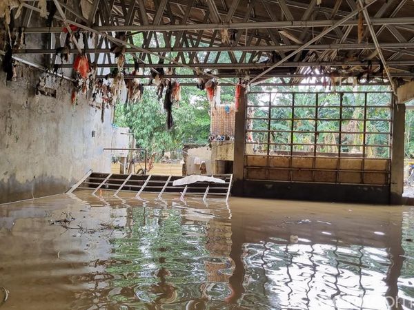 Potret Banjir Menyergap Cawang dan Pejaten Imbas Ciliwung Meluap
