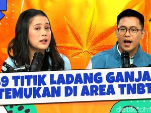 59 Titik Ladang Ganja Ditemukan di Area TNBTS