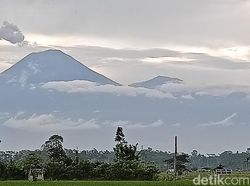 Gunung Semeru Erupsi Lagi Semburkan Abu Vulkanik Setinggi 1 Km Gunung Semeru Erupsi Lagi Semburkan Abu Vulkanik Setinggi 1 Km