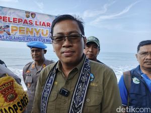 Modus Perdagangan Daging Penyu di Bali: Jadi Menu Spesial di Sejumlah Warung Modus Perdagangan Daging Penyu di Bali: Jadi Menu Spesial di Sejumlah Warung