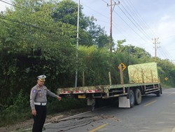 Tabrak Truk Fuso di Pinggir Jalan Kupang, Dua Pemuda Tewas