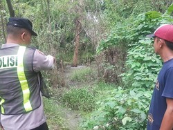 5 Fakta Fenomena Air Menyembur dari Bawah Pohon Klampis di Bojonegoro
