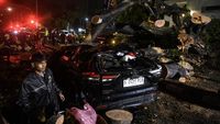 Pohon Tumbang Timpa Mobil di Kebon Sirih, Dua Orang Terjebak