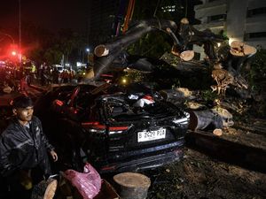 Pohon Tumbang Timpa Mobil di Kebon Sirih, Dua Orang Terjebak