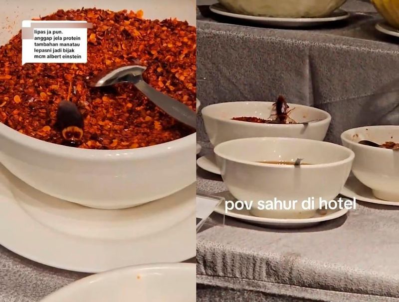 Sahur di Hotel, Wanita Ini Temukan Kecoak Hidup di Wadah Chilli Flakes