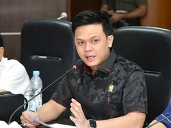 Seruan PAW David Roni Mencuat usai Berkelahi Sesama Anggota DPRD Medan