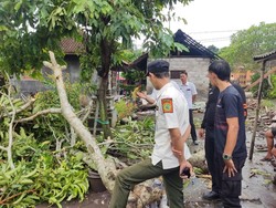 Puting Beliung Terjang Dua Lokasi di Jembrana, Rumah Warga Rusak
