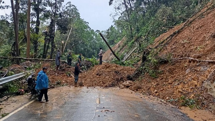 Longsor Tutup Jalan Trans Sulawesi di Mangkutana Luwu Timur, Lalin Lumpuh