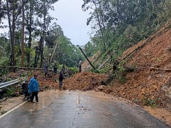 Longsor Tutup Jalan Trans Sulawesi di Mangkutana Luwu Timur, Lalin Lumpuh