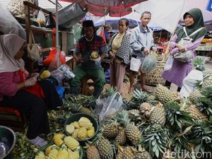 Penjual Nanas Raup Cuan Saat Ramadan