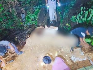 Pohon di TPU Palembang Tumbang, 1 Makam Terangkat hingga Tengkorak Keluar