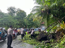 Cuaca Ekstrem di Tabanan dan Klungkung: Pohon Tumbang, Bangunan Pura Roboh