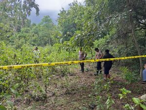 Pria TTU Tewas Ditembak Senapan Angin di Hutan Pria TTU Tewas Ditembak Senapan Angin di Hutan