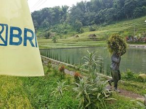 Sederet Upaya Nyata BRI Terapkan Prinsip ESG untuk Bisnis Berkelanjutan