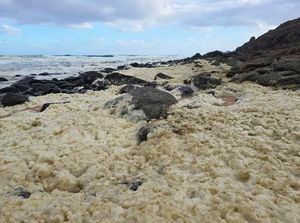 Busa Laut Misterius di Australia, Ikan Mati dan Peselancar Keracunan Busa Laut Misterius di Australia, Ikan Mati dan Peselancar Keracunan