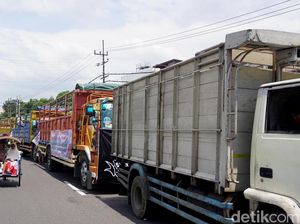 Pengusaha Logistik Keluhkan Pembatasan Angkutan Berdampak Distribusi Barang Pengusaha Logistik Keluhkan Pembatasan Angkutan Berdampak Distribusi Barang