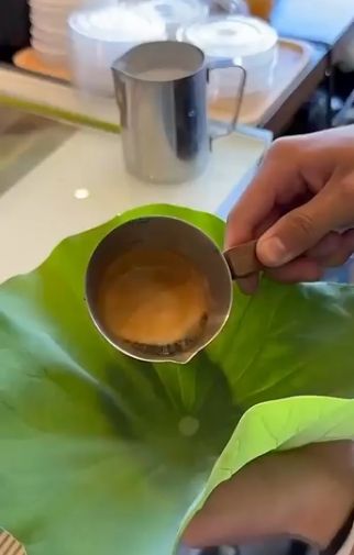 Nyeleneh! Racikan Latte Ini Disajikan di Atas Daun Teratai