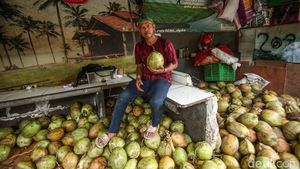 Omzet Naik, Penjual Kelapa Muda Raup Cuan Saat Ramadan